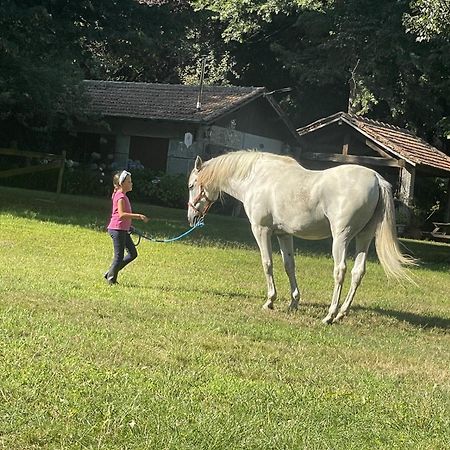 Quinta De Maderne Villa เฟลเกรัช ภายนอก รูปภาพ