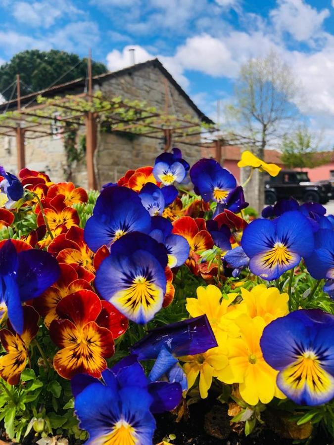 Quinta De Maderne Villa เฟลเกรัช ภายนอก รูปภาพ