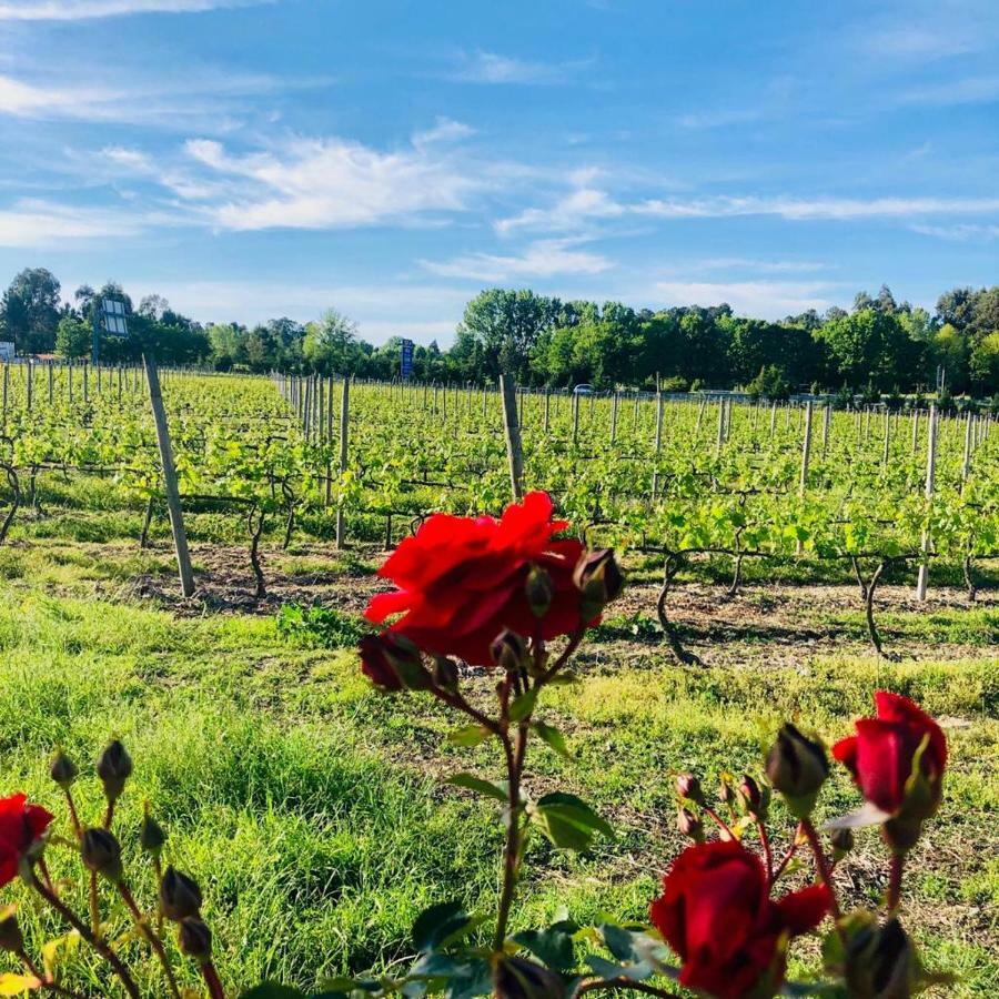 Quinta De Maderne Villa เฟลเกรัช ภายนอก รูปภาพ